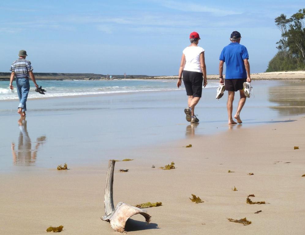 Mollymook Surfbeach Motel & Apartments מראה חיצוני תמונה